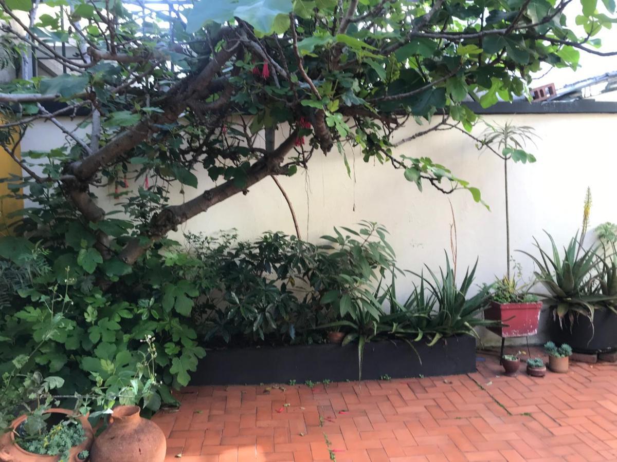 Anastasio Gutman House Homestay Bogota