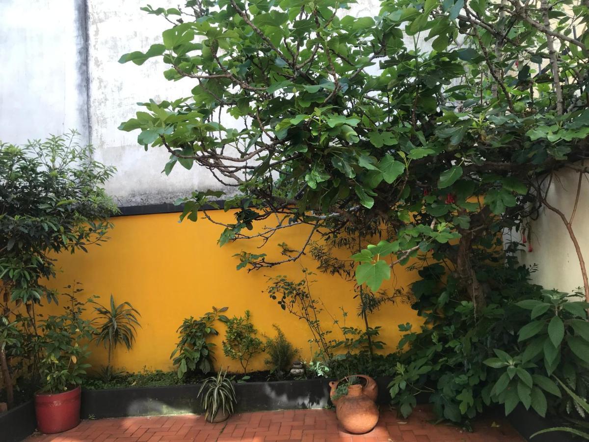 Homestay Anastasio Gutman House