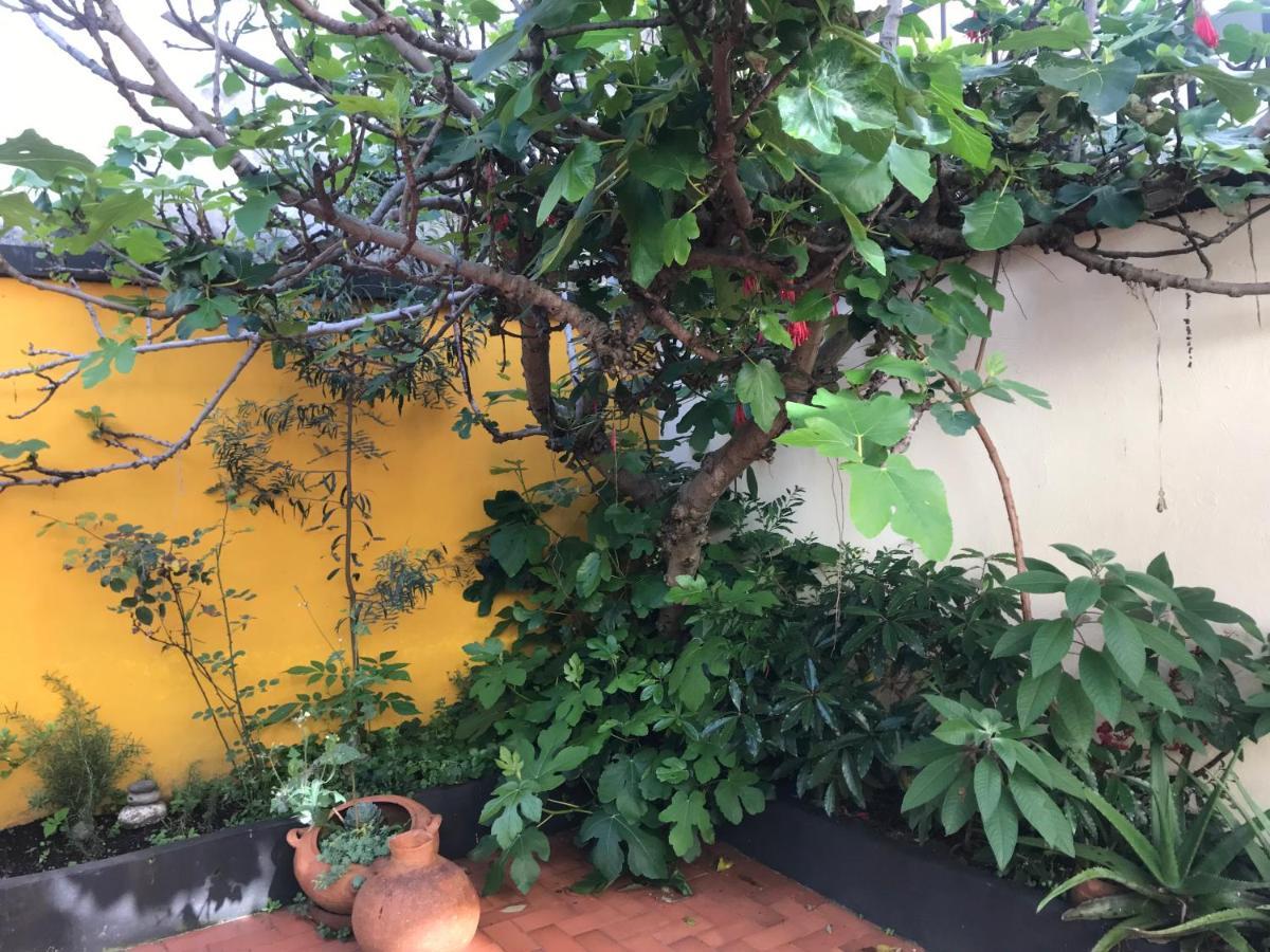 Anastasio Gutman House Homestay *