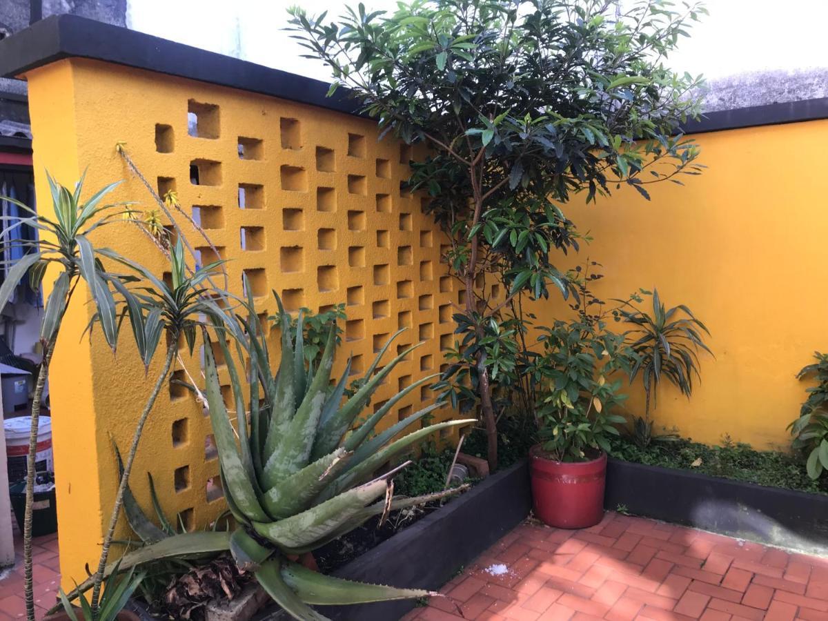Anastasio Gutman House Homestay Bogota