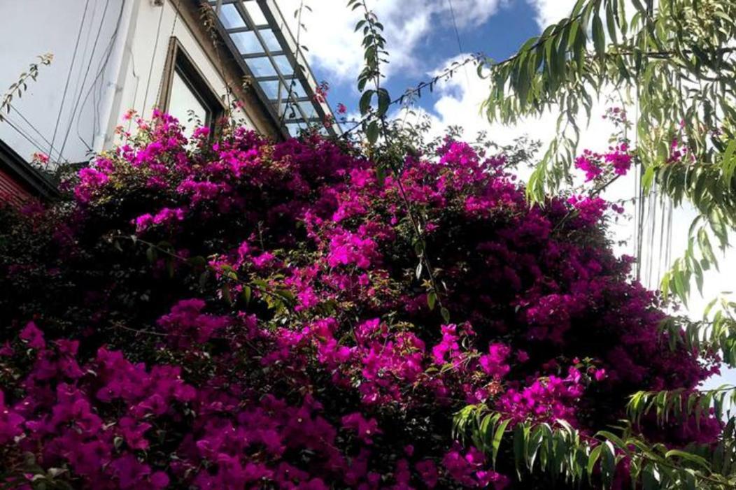 Anastasio Gutman House *